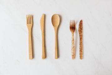 Disposable utensils - what instead of plastic cutlery and plates?