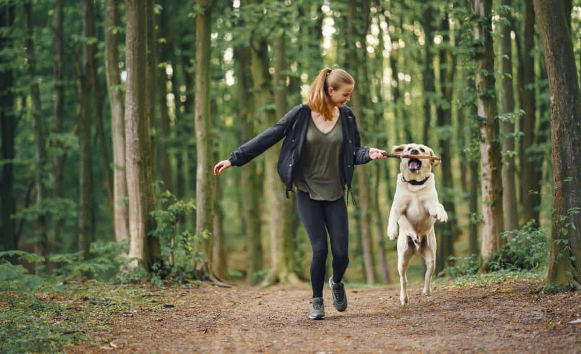 Spacer z psem – co zabrać ze sobą by nie było nudno