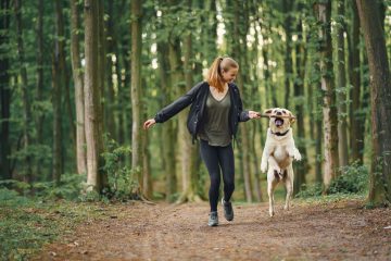 Walking with a dog - what to take with you to avoid boredom