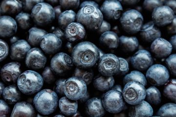 Blueberry vs blueberry - what's the difference?