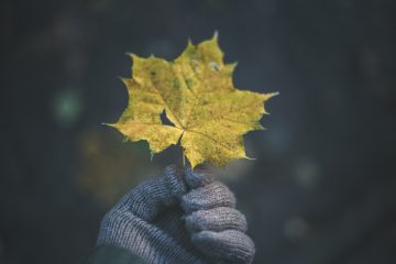 How to cope with autumn melancholy? Tips for a single