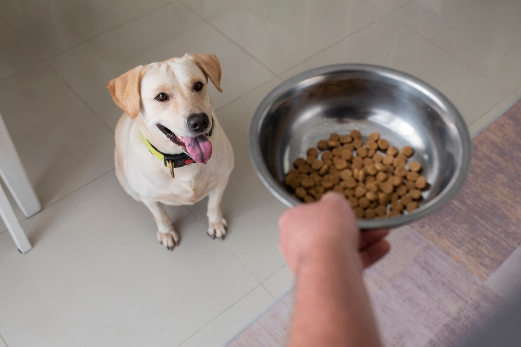 The benefits of wet food for your canine friend