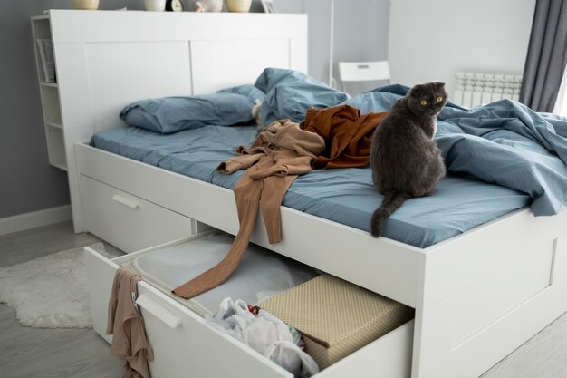 How Do Murphy Beds Transform Small Living Spaces?