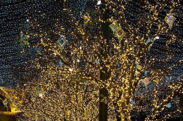 How Do Giant Holiday Installations Transform Urban Spaces During the Festive Season?